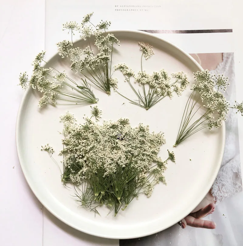 5-7cm/12szt, śnieg małe kwiaty – Craft Embellishments recenzja i cena