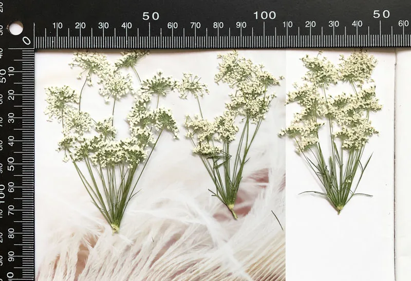 5-7cm/12szt, śnieg małe kwiaty – Craft Embellishments recenzja i cena
