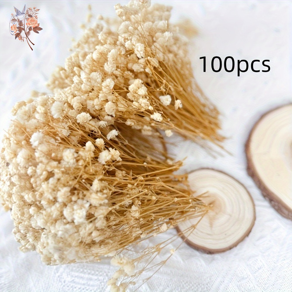 100 szt. Mini Suszone Kwiaty G – Craft Embellishments recenzja i cena