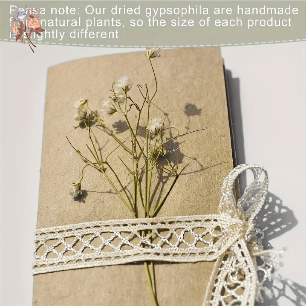 100 szt. Mini Suszone Kwiaty G – Craft Embellishments recenzja i cena